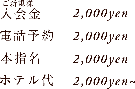 システムの基本料金