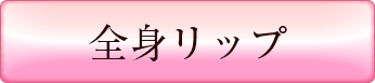 システムのプレイ内容