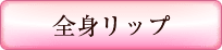 システムのプレイ内容