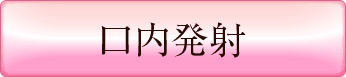 システムのプレイ内容