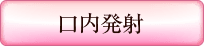 システムのプレイ内容