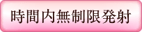 システムのプレイ内容